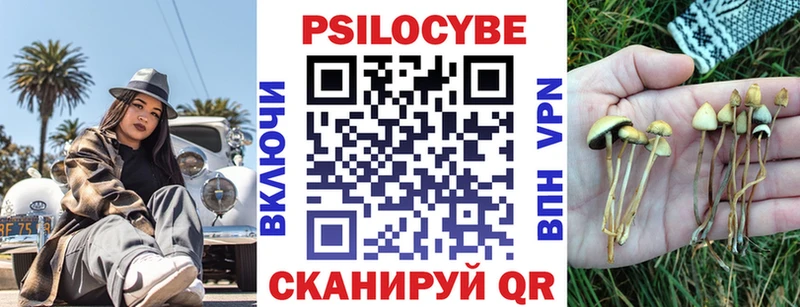 Псилоцибиновые грибы ЛСД  Купить  Галич 